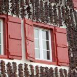 Learn Basque Online - Level 3