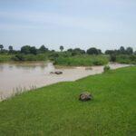 Learn Igbo Online - Level 2