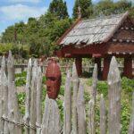 Learn Maori Online - (Business)