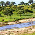 Learn Swahili Online - Level 3