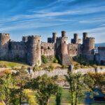 Learn Welsh Online - (Business)