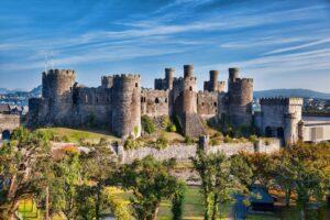 Learn Welsh Online – (Business)